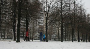 Жители района Орехово-Борисово Южное оценили новый народный парк