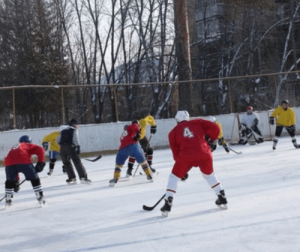 Для жителей района Орехово-Борисово Южное организуют мастер-класс по хоккею  