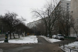 Выгуливать питомцев жители района Орехово-Борисово Южное смогут на обновленной площадке