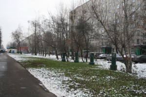 Парки и дворы района Орехово-Борисово Южное приведут в порядок на массовых субботниках