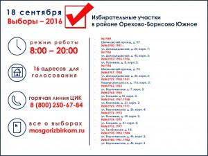 инфографика выборы_ОБЮ