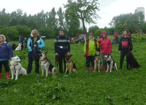 Занятия на спортивно-тренировочной площадке для собак «Орехово»