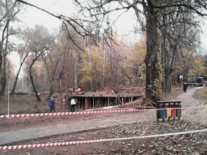 Благоустройство территории Бирюлевского  дендропарка у пруда «Шоколадка»