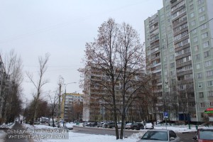 Жилые дома в районе Орехово-Борисово Северное