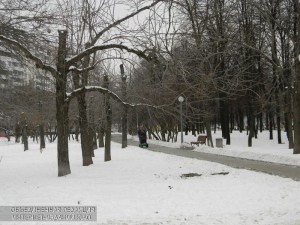 Парк в районе Орехово-Борисово Южное