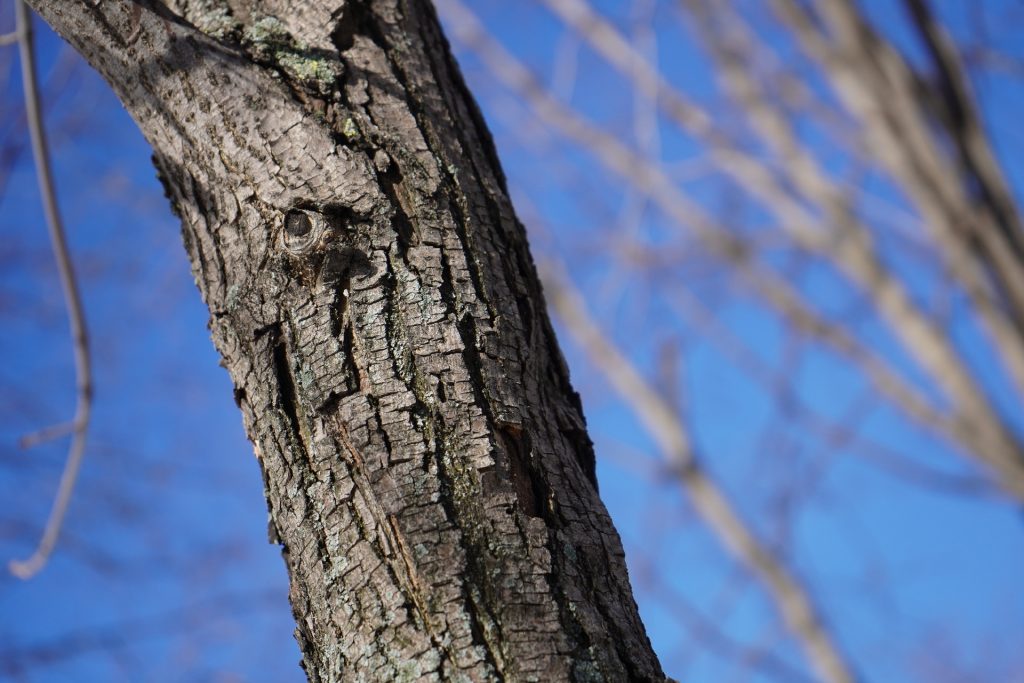 Сбор макулатуры пройдет в школе №1207. Фото: Анна Быкова, «Вечерняя Москва»