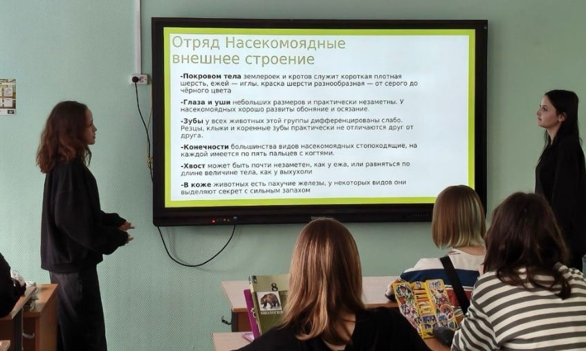 Ученики школы №544 представили проекты о млекопитающих. Фото: официальная страница школы №544 в социальных сетях