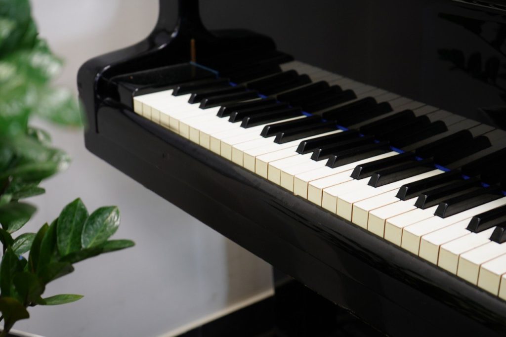 Концерт пройдет в ЦМД «Орехово-Борисово Южное». Фото: Анна Быкова, «Вечерняя Москва»