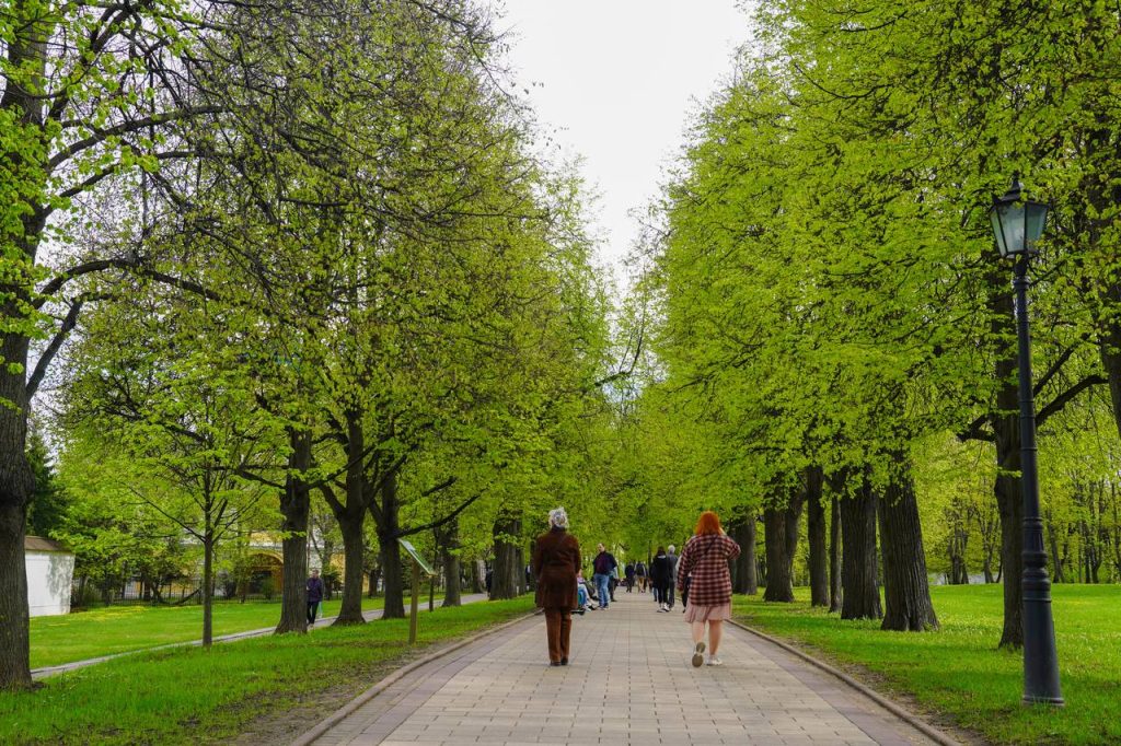 Какую программу подготовили парки Москвы на предстоящие выходные. Фото: Ксения Догонашева, «Вечерняя Москва»