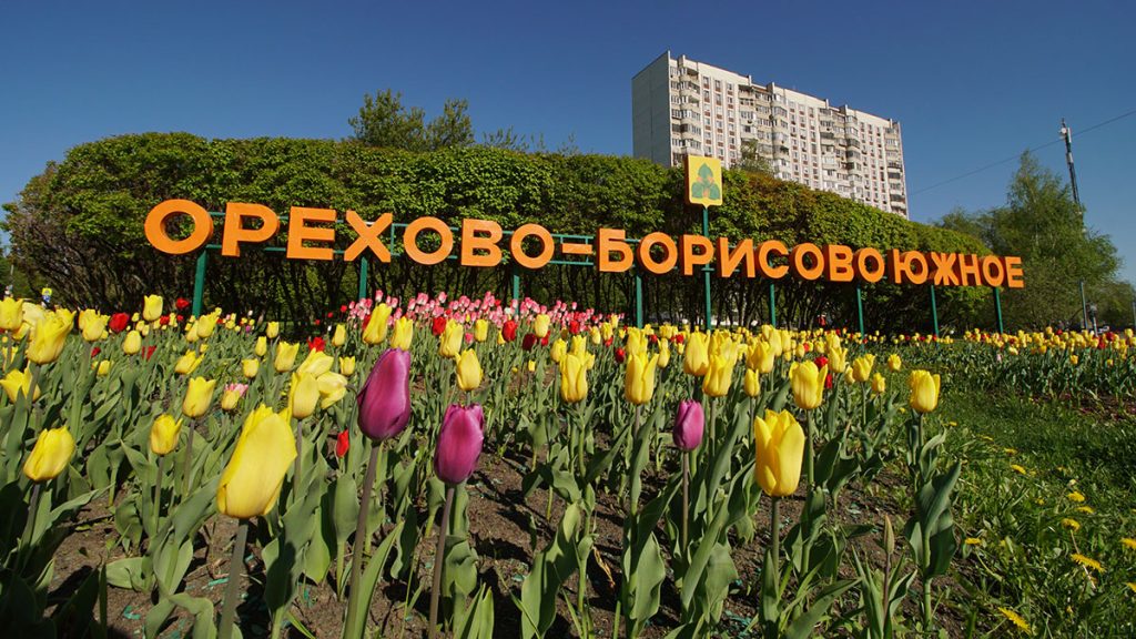 Глава управы района Орехово-Борисово Южное провела плановый обход. Фото: Анатолий Цымбалюк, «Вечерняя Москва»