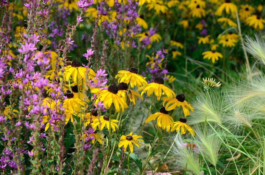 Тематические мероприятия пройдут в Экоцентре «Южный». Фото: Анна Быкова, «Вечерняя Москва»