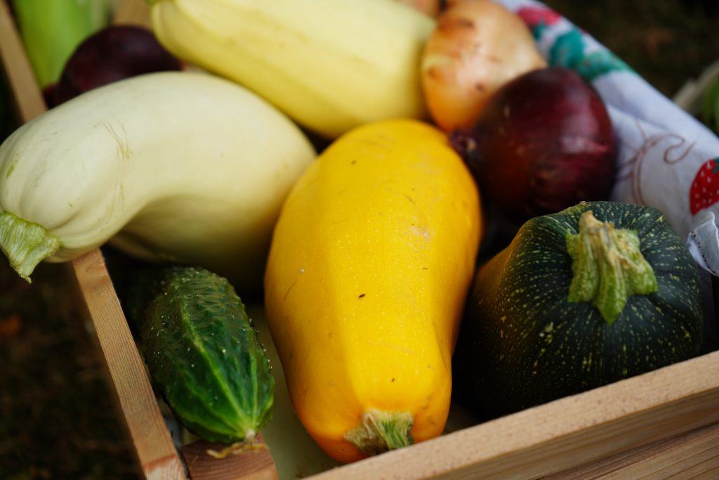 Представители управы района Орехово-Борисово Южное пригласили жителей на курсы любителей садоводства. Фото: Анна Быкова, «Вечерняя Москва»