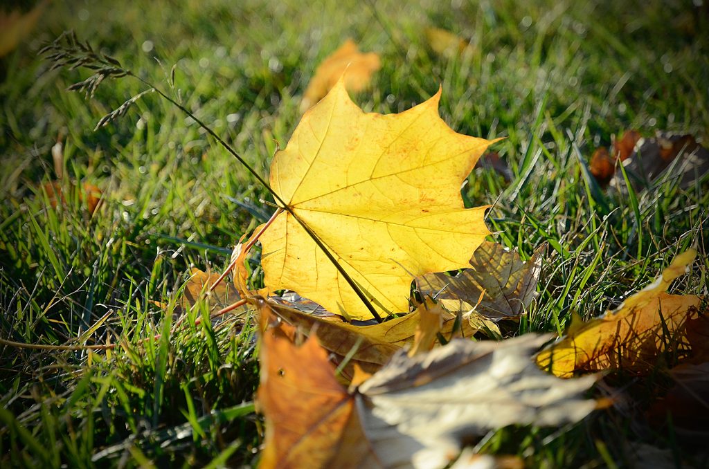 Мероприятия для детей пройдут в Экоцентре «Южный». Фото: Анна Быкова, «Вечерняя Москва»