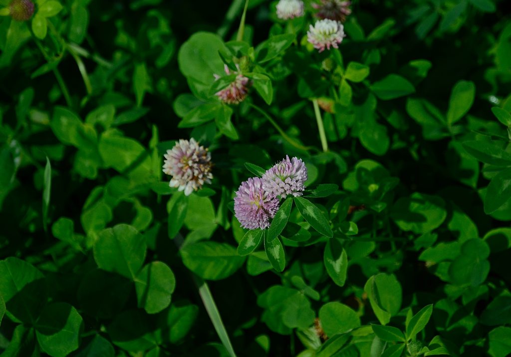 Тематические мероприятия пройдут в Экоцентре «Южный». Фото: Анна Быкова, «Вечерняя Москва»