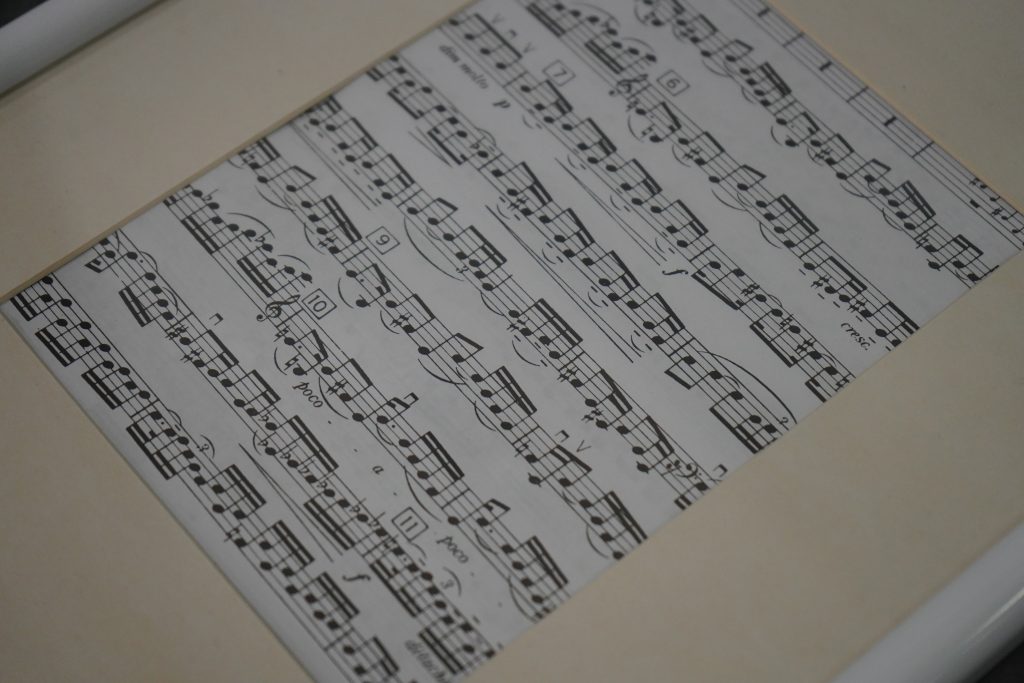 Концерт солистов театра оперетты состоится в библиотеке №152. Фото: Анна Быкова, «Вечерняя Москва»