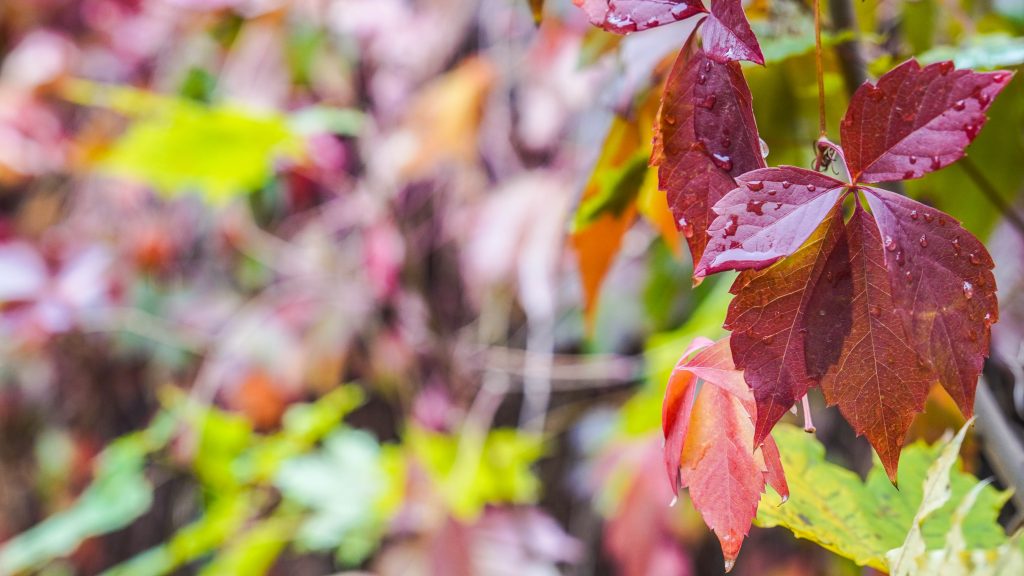 Тематические занятия для детей пройдут в Экоцентре «Южный». Фото: Ксения Догонашева, «Вечерняя Москва»