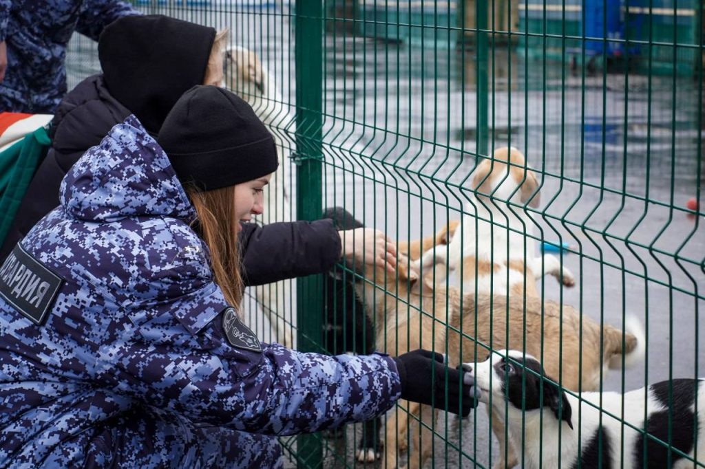 Фото: пресс-служба РосгвардииВ рамках волонтерской акции сотрудники вневедомственной охраны Главного управления Росгвардии по г. Москве посетили крупный приют для бездомных животных, расположенный на юге столицы.
В ходе визита стражи порядка передали учреждению партию кормов, медикаментов и необходимые средства для содержания питомцев. Росгвардейцы провели время с животными: помогли персоналу в уходе и уделили особое внимание тем питомцам, которые больше всего нуждались в общении и заботе.
Подобные акции являются частью регулярной волонтерской и социальной деятельности столичного главка Росгвардии.