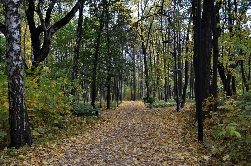 Творческие и познавательные мероприятия организуют в экоцентре «Южный». Фото: Анна Быкова, «Вечерняя Москва»