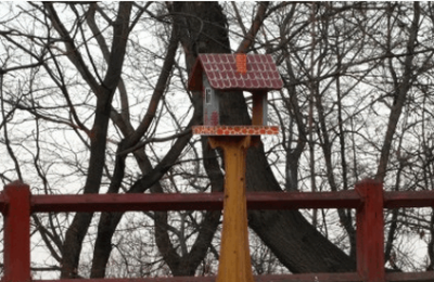 Мастер-класс по изготовлению кормушек для птиц пройдет в районе Орехово-Борисово Южное
