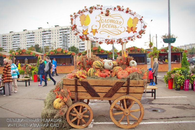 Фестиваль "Золотая осень"