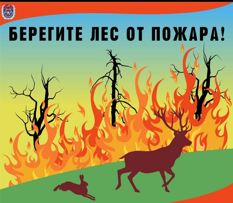 Берегите лес от пожара, памятка МЧС