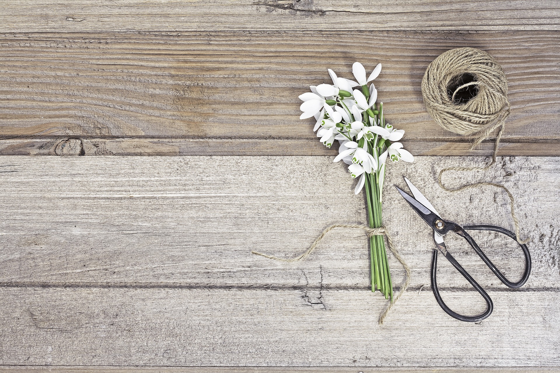 Flower wood мм2. Фотофон с ножницами. Нитки и ножницы цветы. Деревянный фотофон ножницы. Весенний фон для инстаграмма с ножницами и нитками.