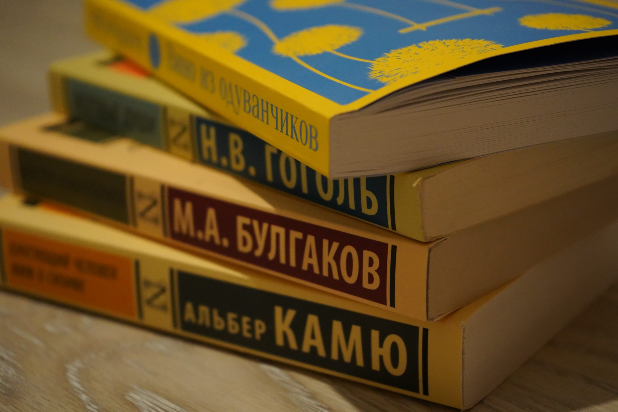Библиотеки Орехово-Борисово участвуют в книжном фестивале. Фото: Анна Быкова, « Вечерняя Москва»