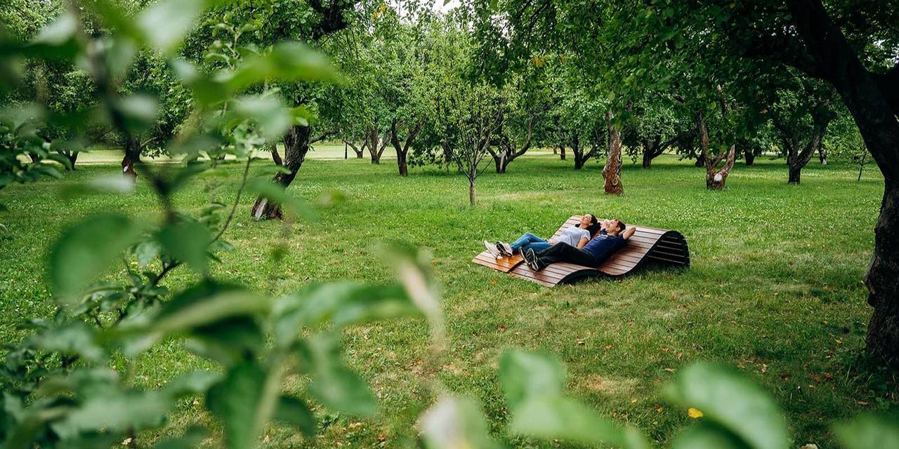 Москва, важно, Департамент здравоохранения Москвы, клещи, Клещи обычно активны в период с весны до осени. Фото: сайт мэра Москвы
