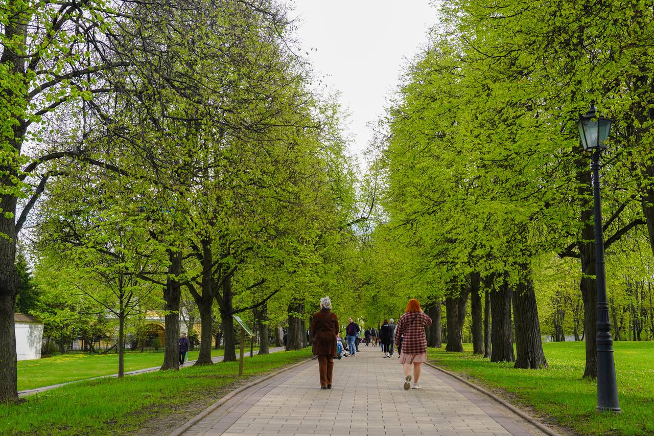 Какую программу подготовили парки Москвы на предстоящие выходные. Фото: Ксения Догонашева, «Вечерняя Москва»