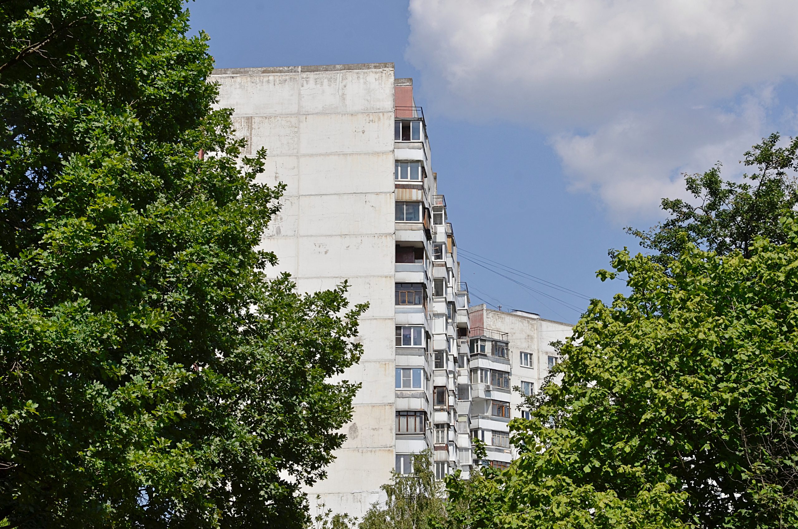 Обход территорий с главой управы пройдет в Орехово-Борисове Южном. Фото: Анна Быкова, Вечерняя Москва