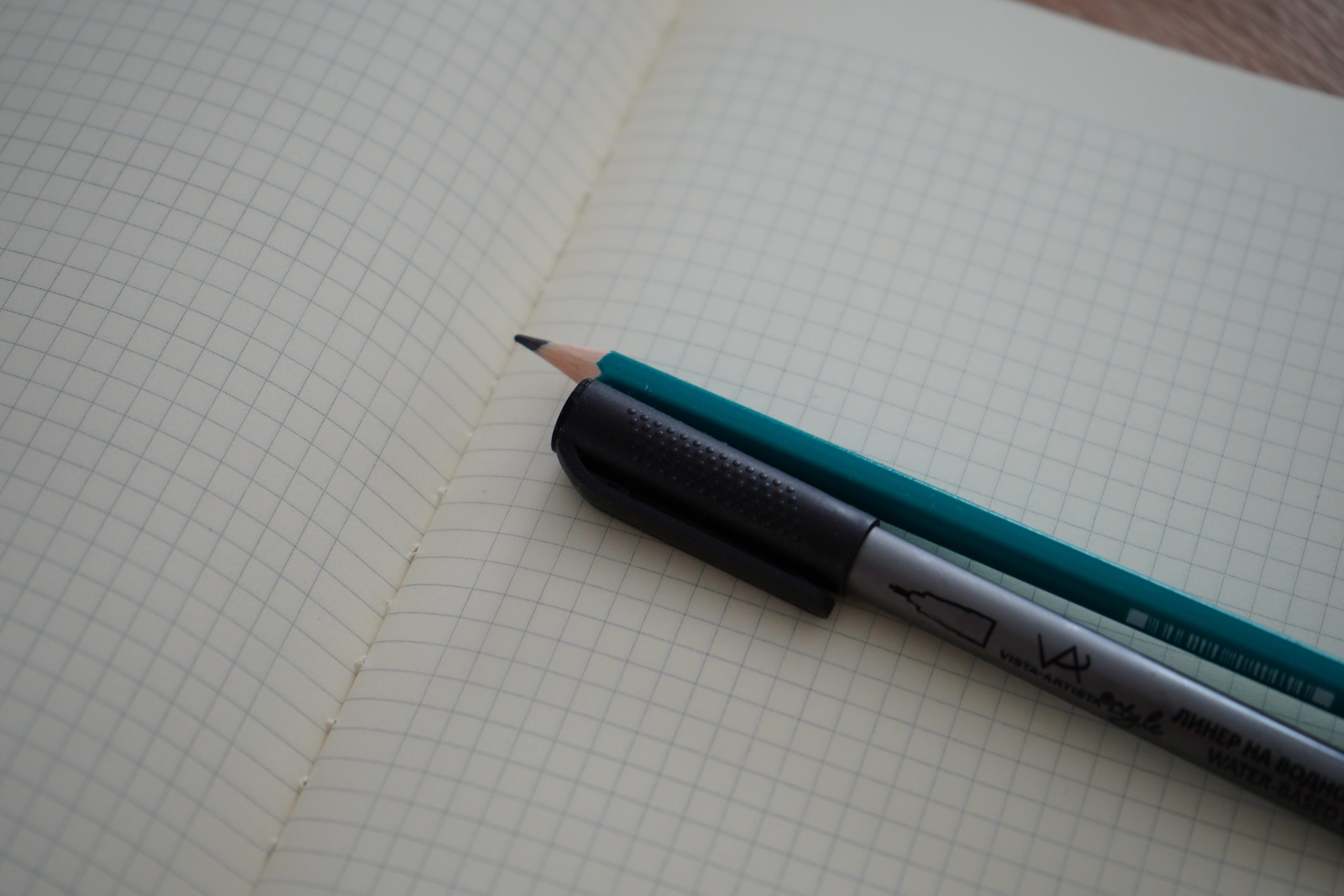 Ученица школы №1207 завоевала призовое место на международной олимпиаде. Фото: Анна Быкова, «Вечерняя Москва»