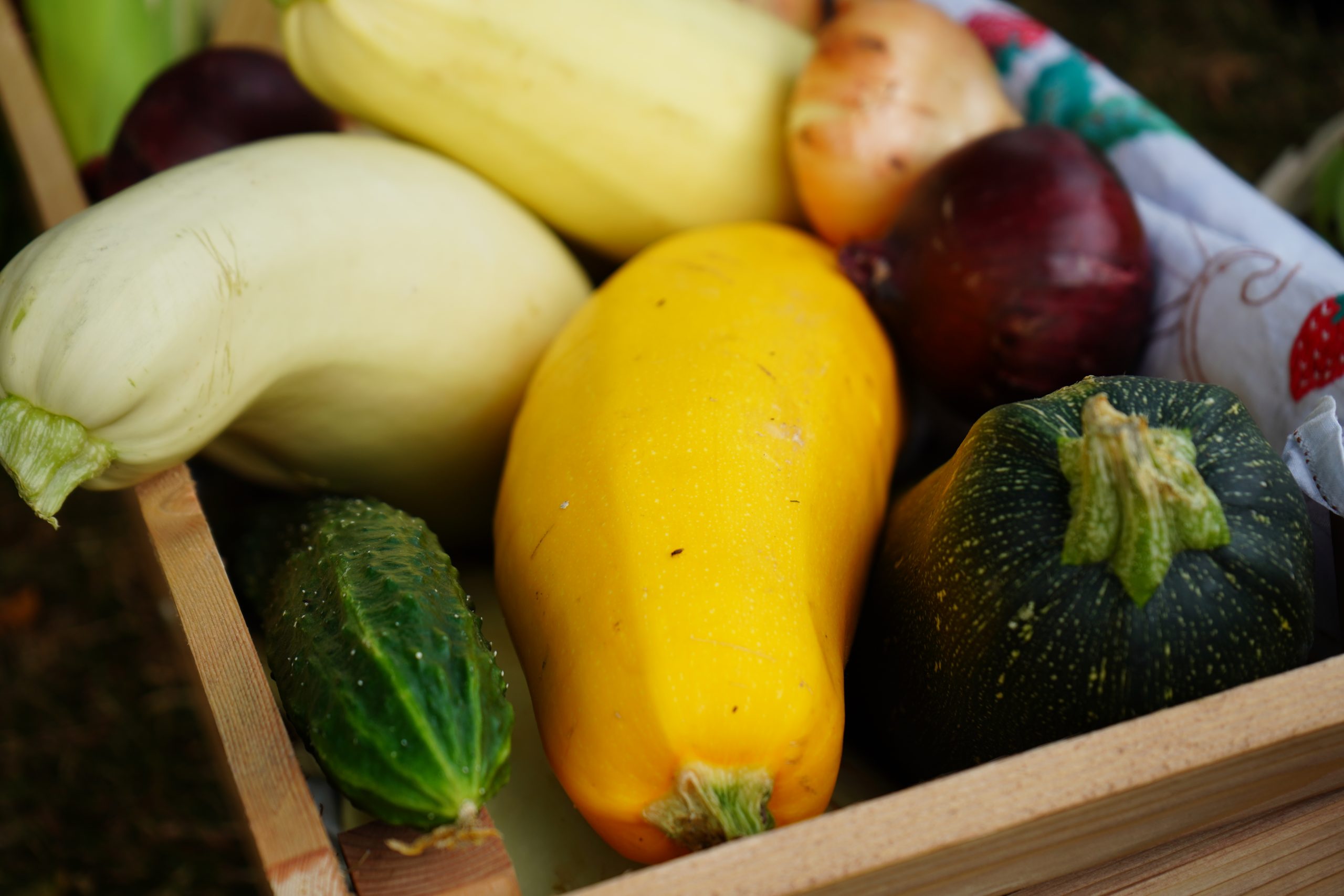 Представители управы района Орехово-Борисово Южное пригласили жителей на курсы любителей садоводства. Фото: Анна Быкова, «Вечерняя Москва»