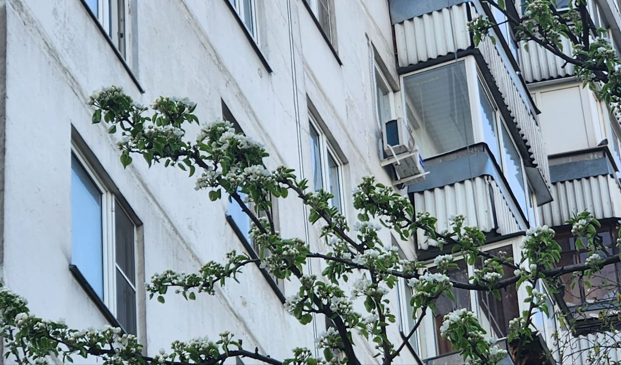 Плановый обход территорий с главой управы пройдет в Орехове-Борисове Южном. Фото: Алина Моисеенко, «Вечерняя Москва»