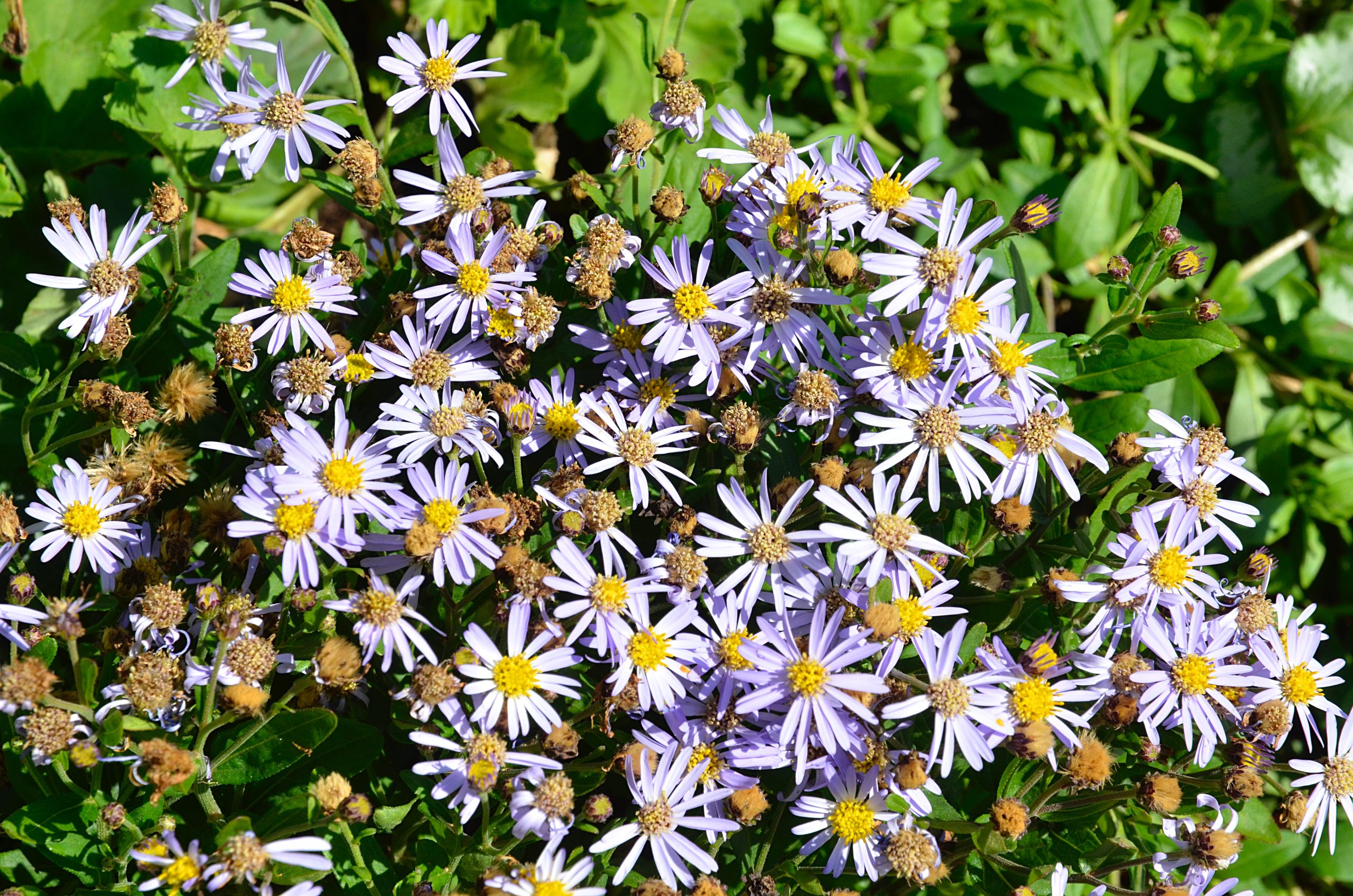 Сотрудники экоцентра «Южный» проведут тематические мероприятия. Фото: Анна Быкова, «Вечерняя Москва»