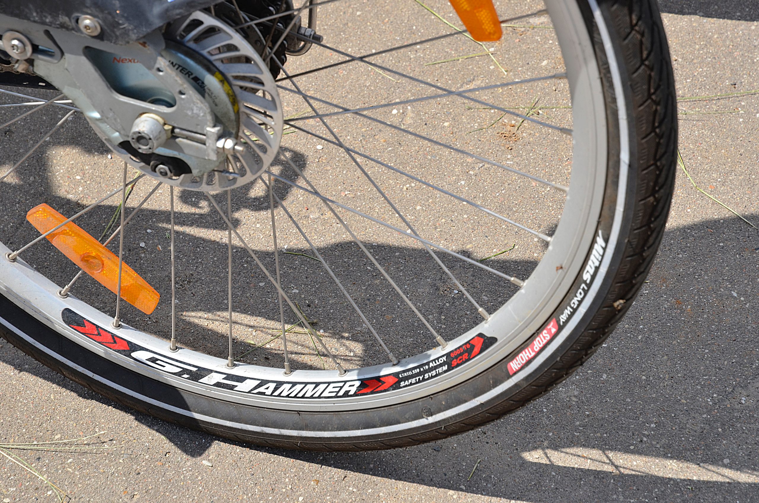 5 и 6 сентября на велодроме «Марьинский» пройдет Кубок Московского спорта по экстремальным видам спорта. Фото: Анна Быкова, «Вечерняя Москва»