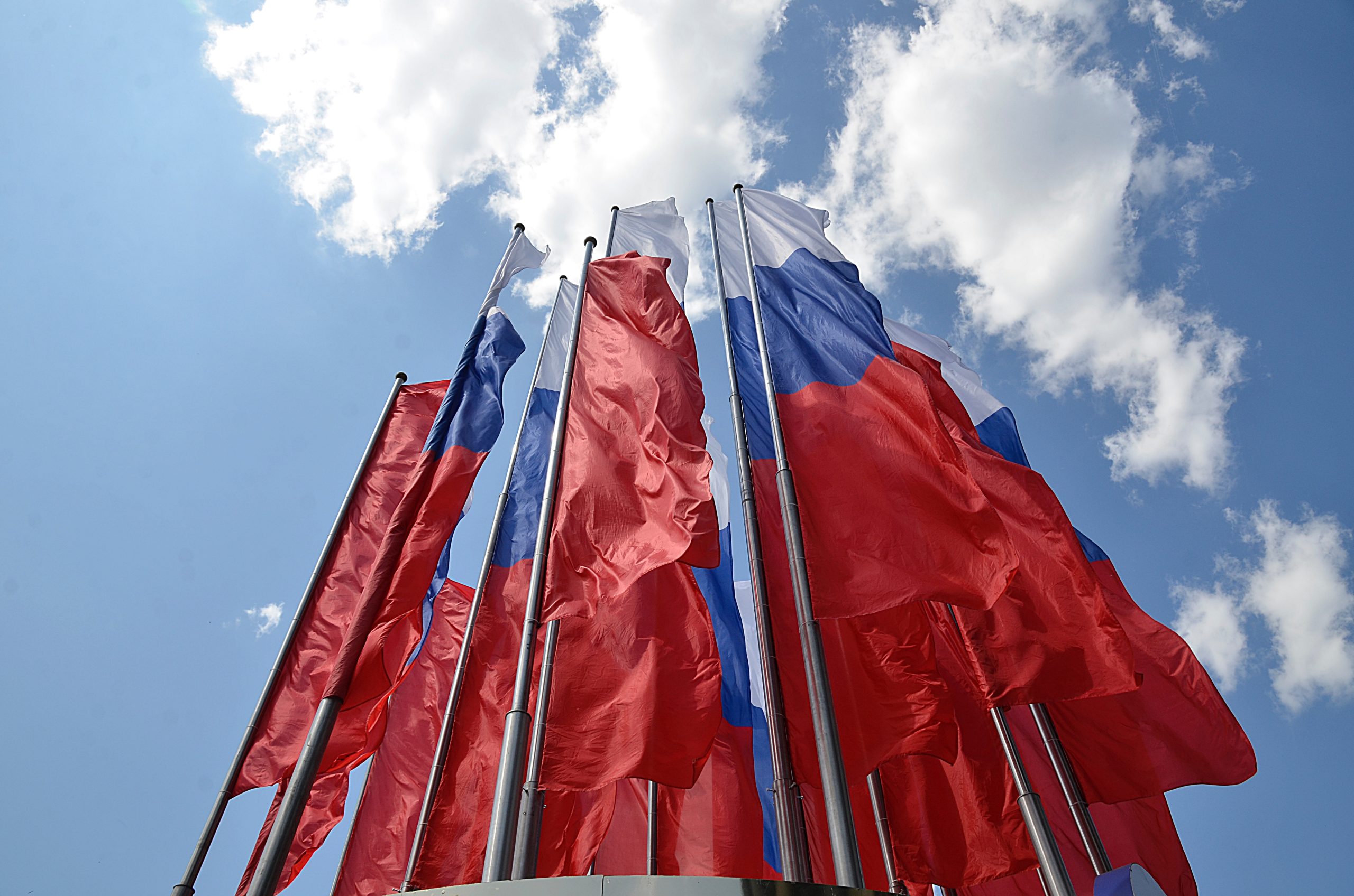 Московская система электронного голосования готова к выборам губернаторов . Фото: Анна Быкова, «Вечерняя Москва»