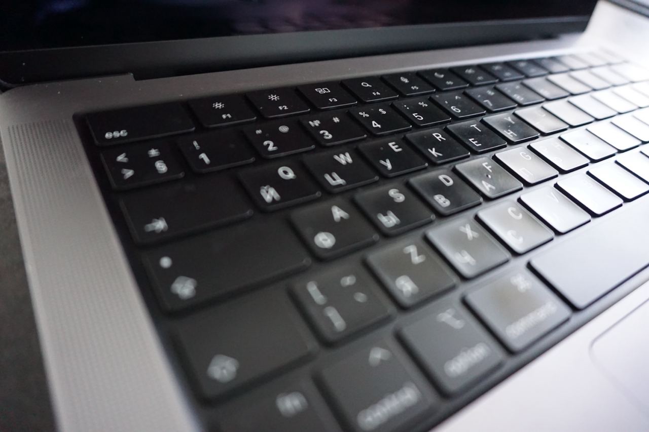 Сотрудники библиотеки №149 проведут встречу о цифровой грамотности. Фото: Дарья Казачок, «Вечерняя Москва»