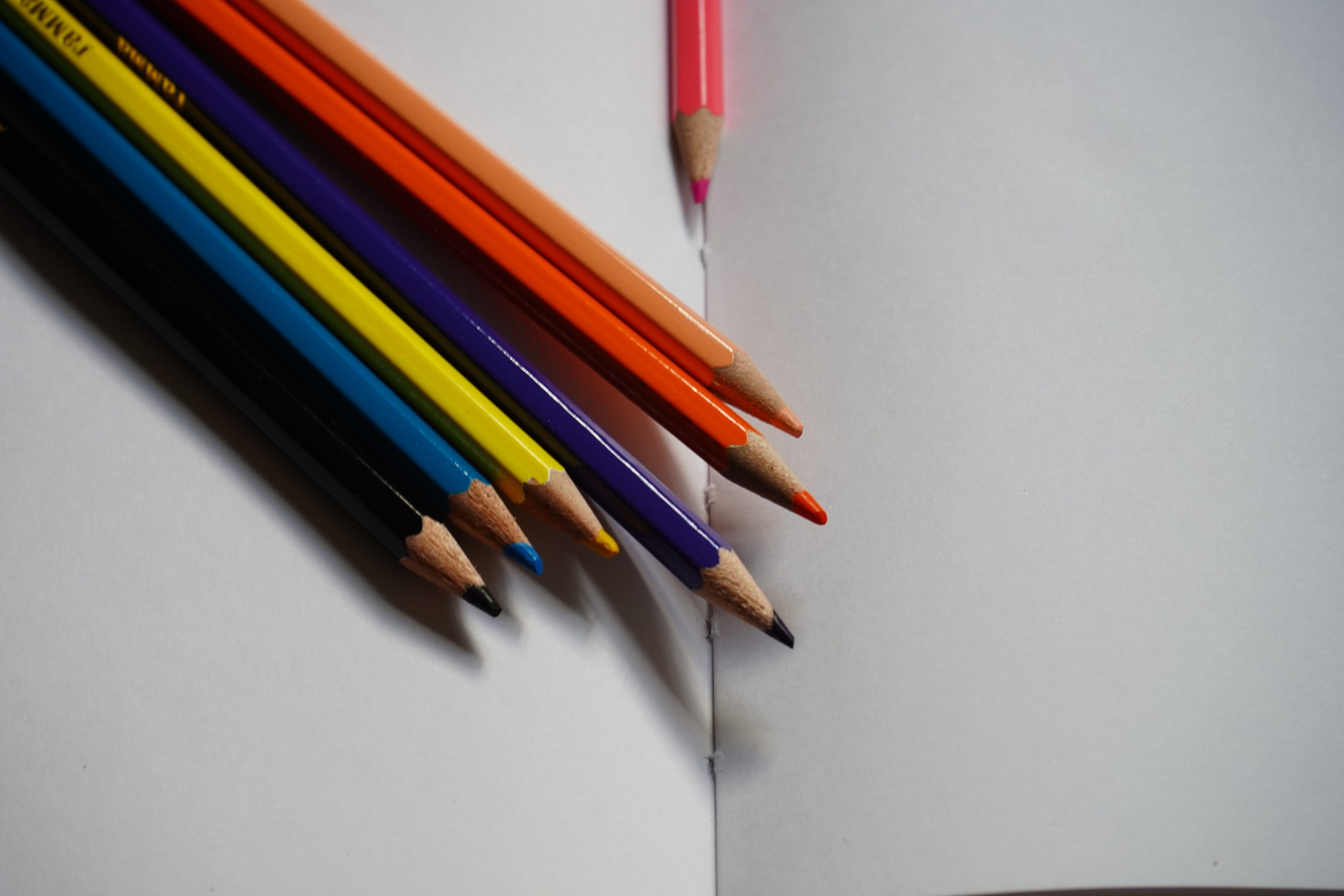 Мастер-классы для детей проведут в парке «Долина реки Шмелевки». Фото: Анна Быкова, «Вечерняя Москва»