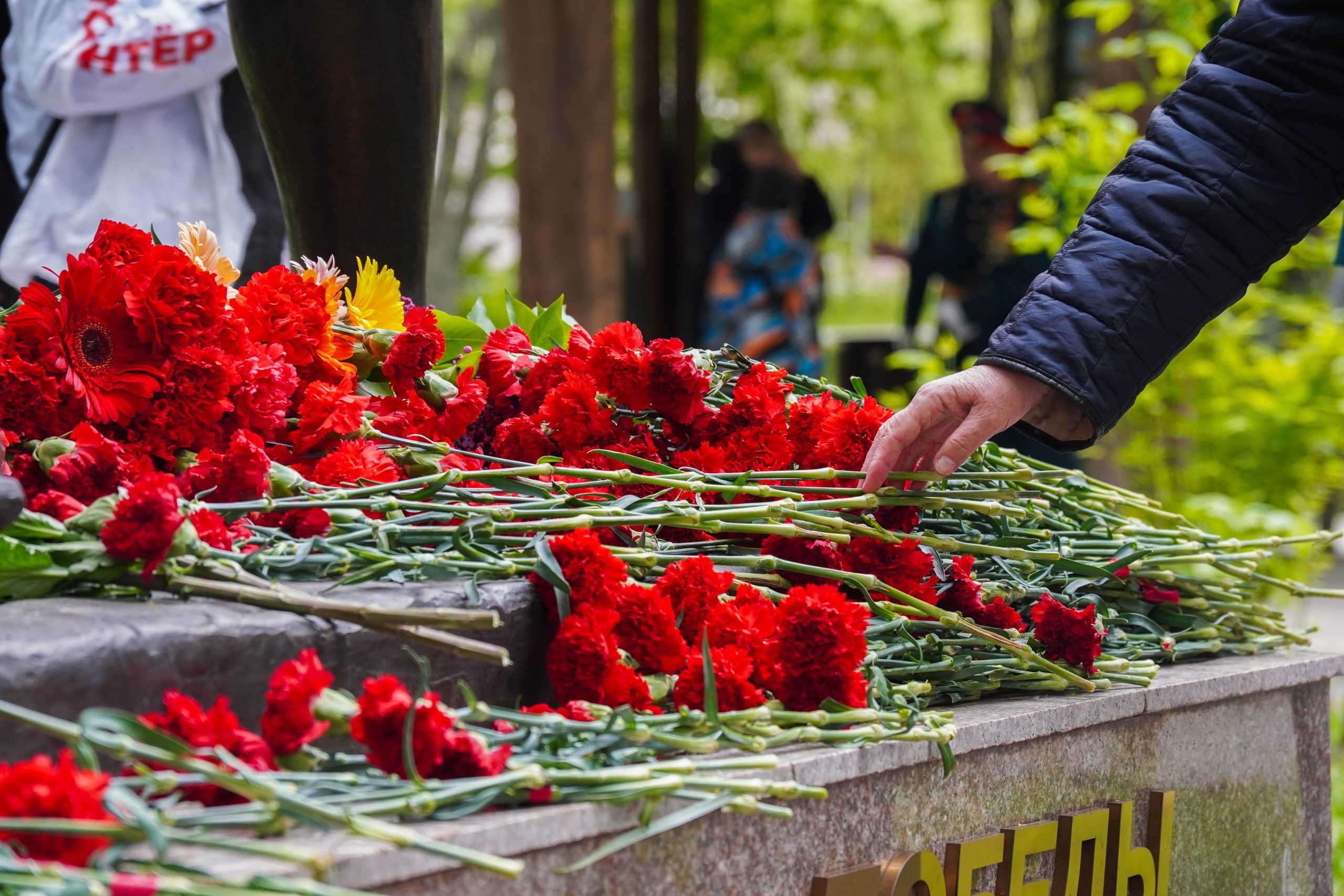 Мемориально-патронатная акция пройдет в Орехове-Борисове Южном. Фото: Ксения Догонашева, «Вечерняя Москва»
