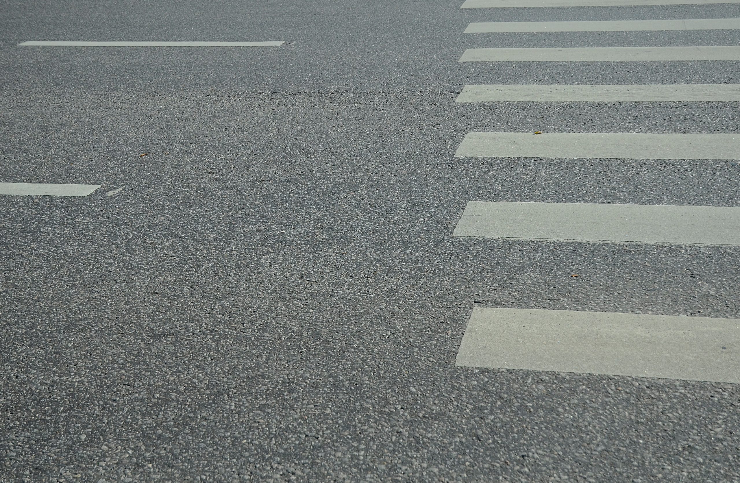 Строительство новой дороги началось в Орехове-Борисове Южном. Фото: Анна Быкова, «Вечерняя Москва»