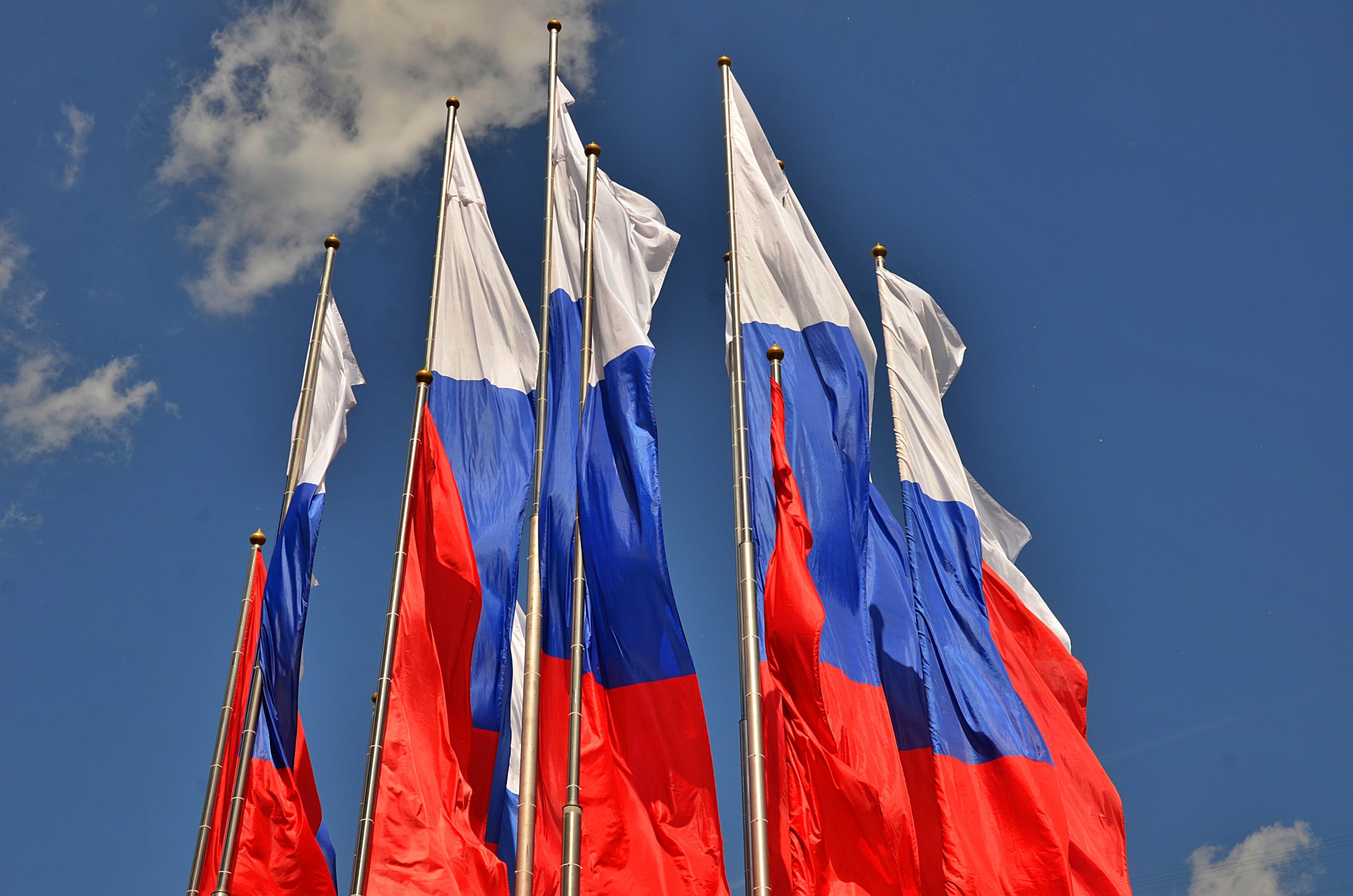 Концерт ко Дню народного единства пройдет в библиотеке №149. Фото: Анна Быкова, «Вечерняя Москва»