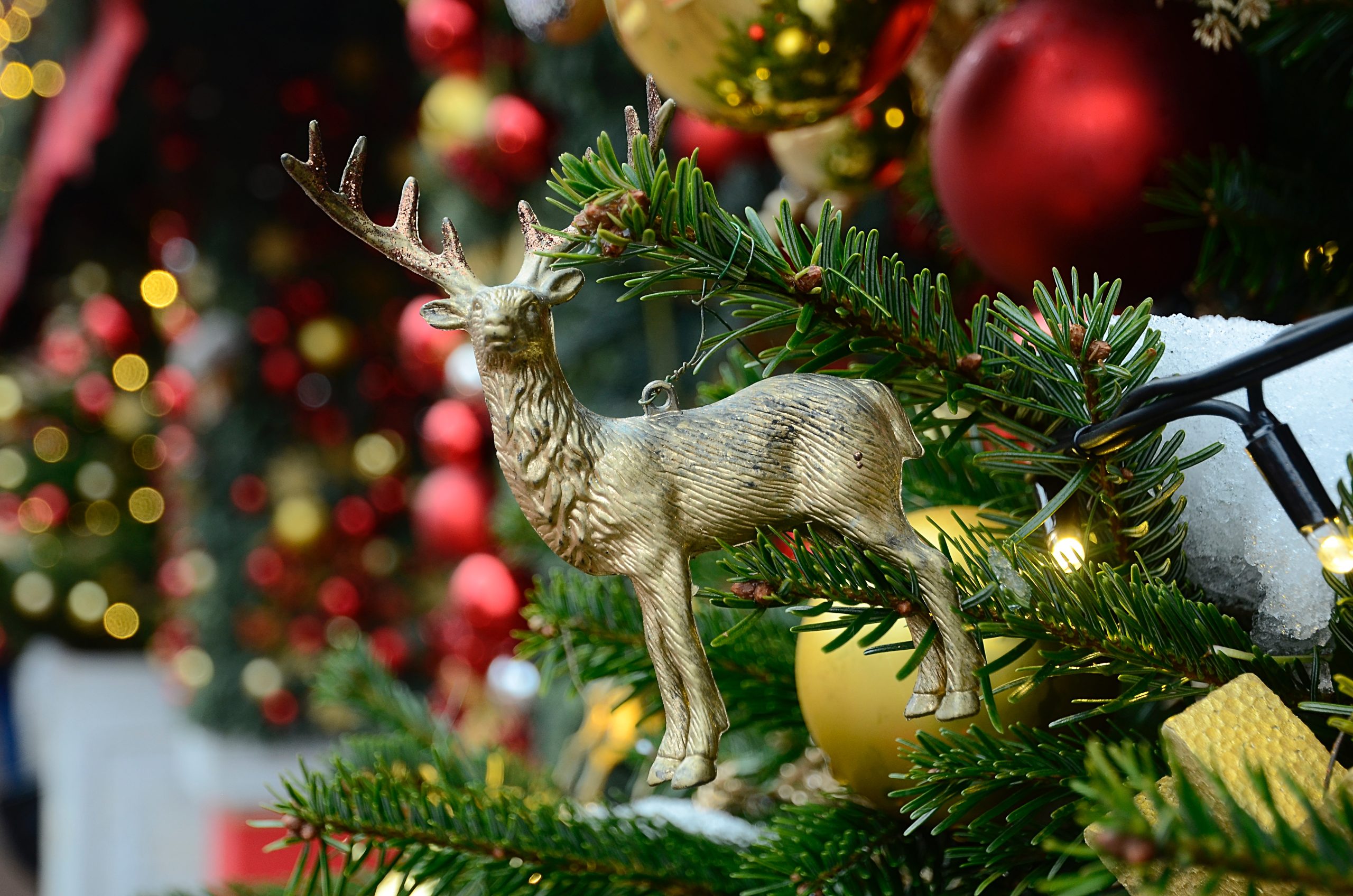 Предновогодний мастер-класс состоится в СЦ «Планета Семьи» в филиале «Орехово». Фото: Анна Быкова, «Вечерняя Москва»