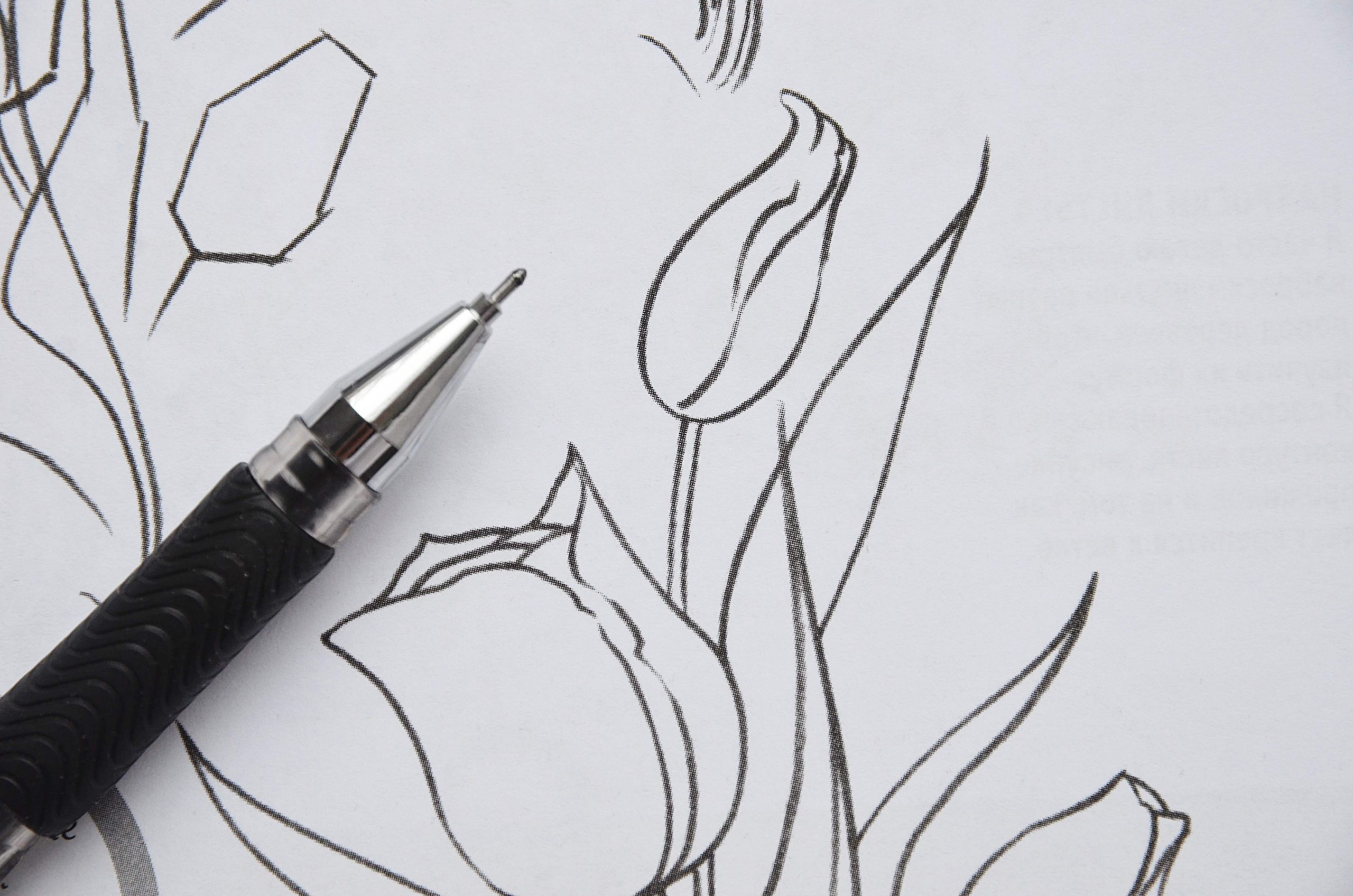 Выставка графических картин открылась в библиотеке №149. Фото: Анна Быкова, «Вечерняя Москва»